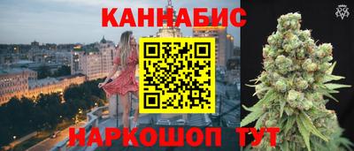 гидра Моздок
