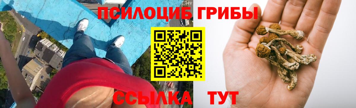 Галлюциногенные грибы Psilocybe  Вход с VPN  Уварово 